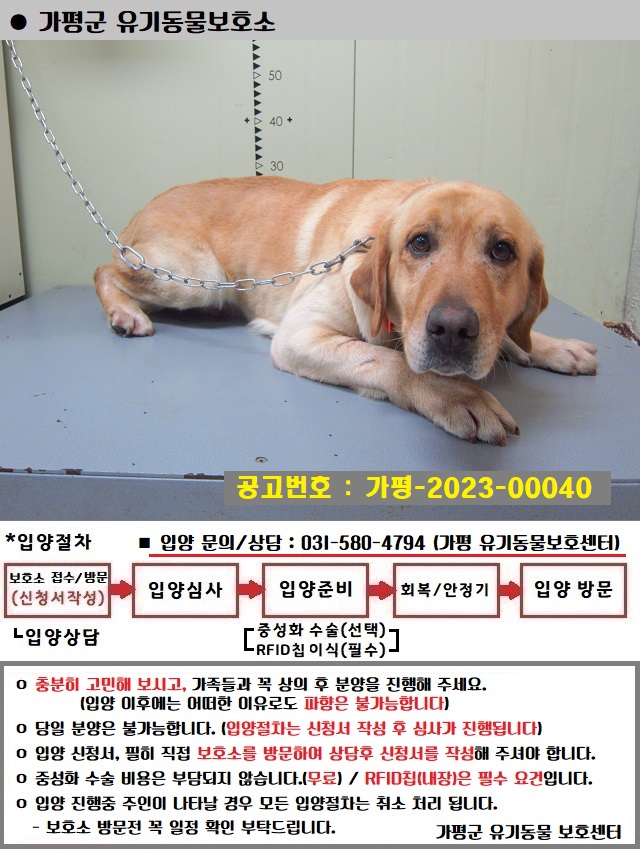 가평군유기동물보호소_441416202300162